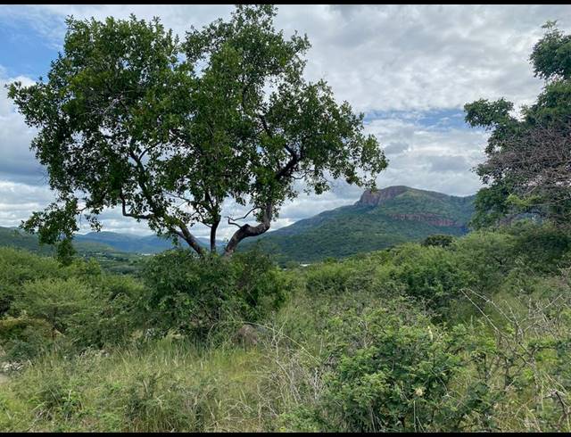 LAND FOR SALE IN LYDENBURG RURAL